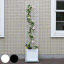 フェンス プランター台付フェンス スリムタイプ アーガイル ( ガーデンフェンス プランター プランターラック フラワーラック スチール おしゃれ 室内 屋外 ...