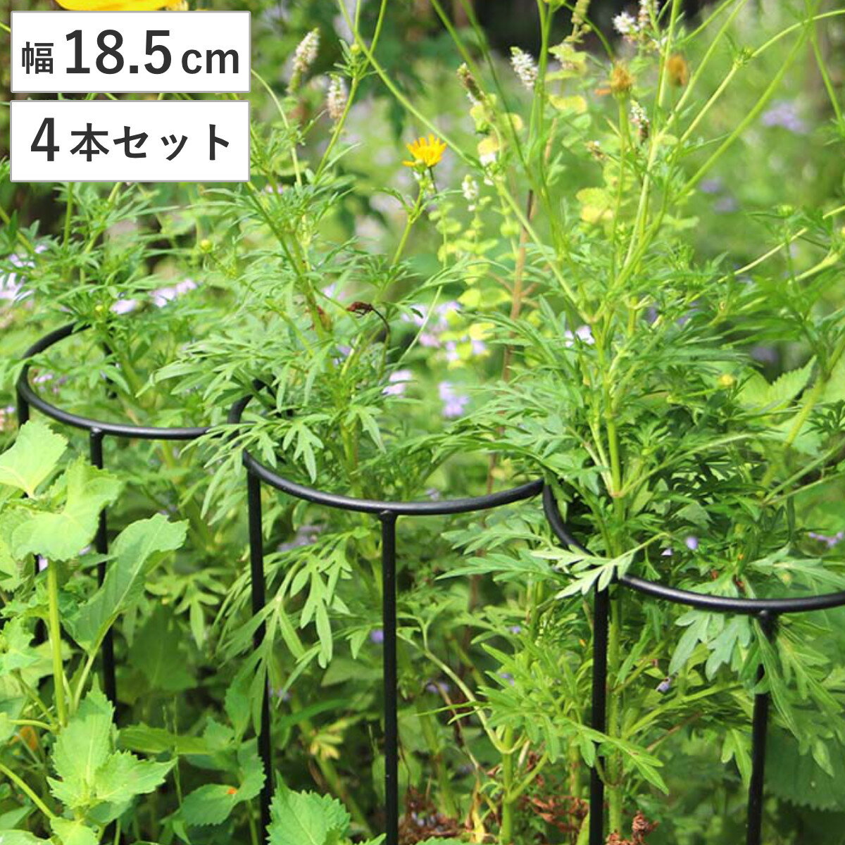 アイアン製植物サポーター幅18 4本セット （ 支柱 フラワースタンド 花壇 花 植物 支える サポーター 囲い アイアン 仕切り ガーデン サポート アイアンスタンド 屋外 花スタンド フラワーサポート 倒れ防止 連結 上部 ）