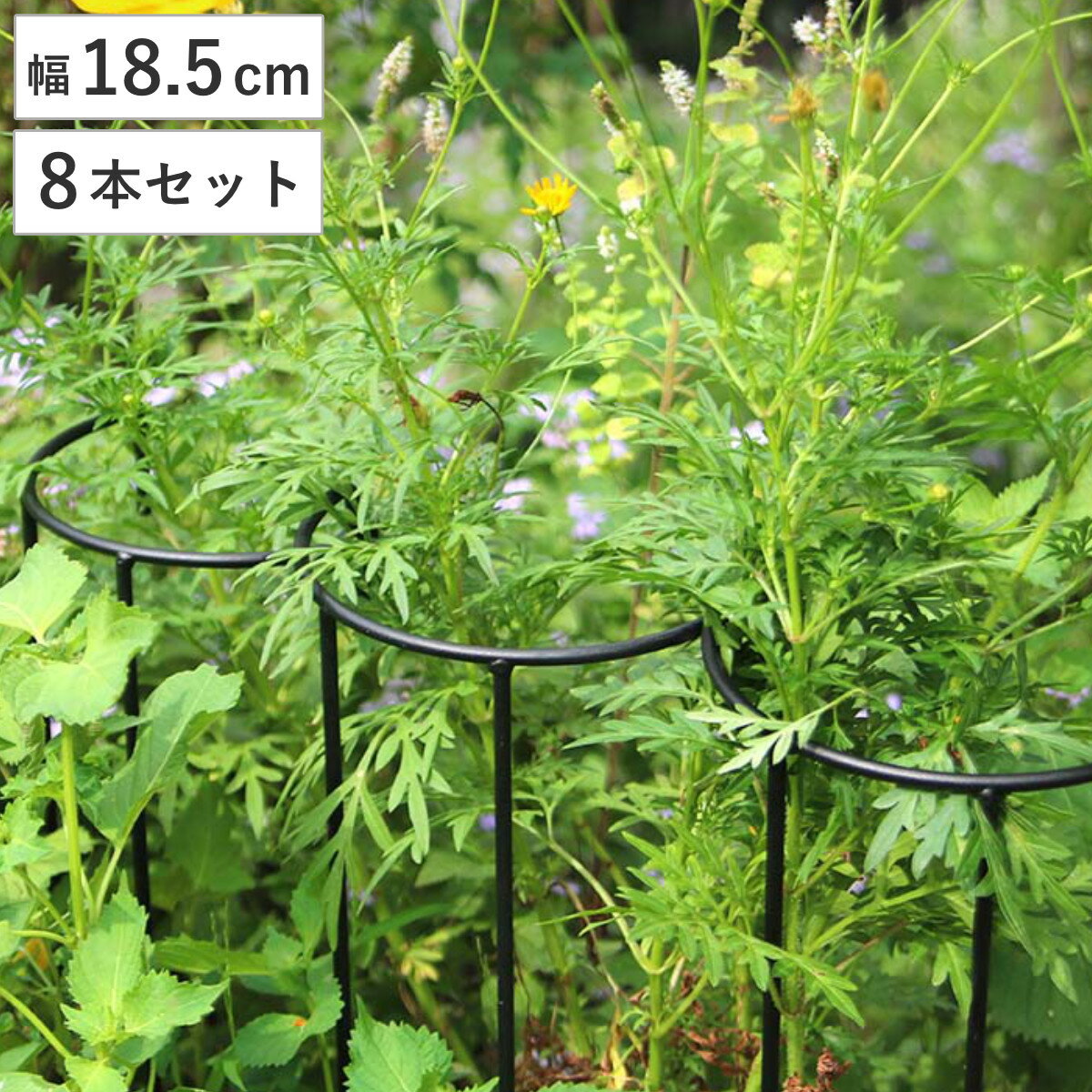 サイズ約 幅18.5×奥行10×高さ50（cm）重量1本当たり：0.6kg内容量8本セット材質アイアン（粉体塗装）生産国中国製組立状態完成品注意事項※商品ページ内には別の商品を含む画像を使用しています区分返品・キャンセル区分（不可）アイアン製植物サポーター幅18 8本セットおすすめポイント※商品ページ内には別の商品を含む画像を使用しています植物を支えるアイアン製サポーター 幅18.5cm 8本セット植物をさりげなくおしゃれに整える、アイアン製の植物サポーターは、マット調の6mm黒アイアンを使用し、頑丈でモダンな質感。広がりがちな植物をエレガントに固定します。茂りすぎたシュラブ（低木）や、植栽直後のシンボルツリー、重さのある果樹もしっかり支えます。地面に深く刺すだけで抜群の安定感。軽量で持ち運びもしやすく地植え、鉢植え、どちらにも使えます。商品詳細連結、延長で自由にお庭をデザインするフックで連結したり、延長脚で高さを変えられます。1本で植物を支えたり、2本合わせてサークル状にも。複数連結すれば大サークルも作れます。横に複数連結してフェンスにするのもオススメです。豊富なサイズバリエーション全4サイズあるので、お庭や植物に合わせて自由に組み合わせていただけます。サイズ対応しているパーツ・オプション植物サポーター延長脚 16本セット植物サポーター延長脚 4本セット植物サポーター延長脚 8本セットシリーズ紹介植物サポーター幅18cm 16本セット植物サポーター幅18cm 4本セット植物サポーター幅18cm 8本セット【▲このページの商品】関連キーワード：植物サポーター 植物スタンド 支え 庭植物 鉢植え お花を支える 自立 補助 倒れない 観葉植物 グリーン フラワー 枝物 園芸用品 園芸 インテリア雑貨 オーナメント 野草 庭仕事 庭つくり 畑仕事 DIY diy ガーデニング用品 野菜 お花 差し込むだけ 簡単 小型 軽い 軽量 簡単設置 コンパクト フェンス ガーデニング雑貨 アイアンフェンス ベランダ ベランダ菜園 家庭菜園 花壇フェンス ガーデンフェンス 畑 庭 お庭 ガーデニング ガーデングッズ インテリア シンプル オシャレ お洒落 グリーンフェンス オススメ ブラック 黒 LH20708 関連商品はこちらアイアン製植物サポーター幅18 16本セット 10,400円アイアン製植物サポーター幅18 4本セット 3,680円アイアン製植物サポーター幅45 8本セット 9,300円アイアン製植物サポーター幅35 8本セット 7,980円アイアン製植物サポーター幅25 8本セット 6,600円アイアン製植物サポーター幅25 16本セット 11,800円アイアン製植物サポーター幅45 4本セット 5,680円アイアン製植物サポーター幅35 4本セット 4,980円アイアン製植物サポーター幅25 4本セット 3,980円アイアン製植物サポーター幅45 16本セット 16,800円アイアン製植物サポーター幅35 16本セット 14,400円アイアン製植物サポーター延長脚 8本セット 3,800円