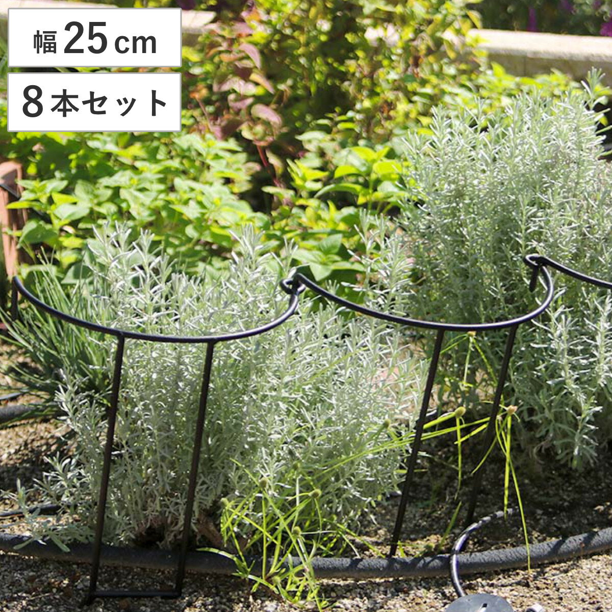 アイアン製植物サポーター幅25 8本セット （ 支柱 フラワースタンド 花壇 花 植物 支える サポーター 囲い アイアン 仕切り ガーデン サポート アイアンスタンド 屋外 花スタンド フラワーサポート 倒れ防止 連結 上部 ）