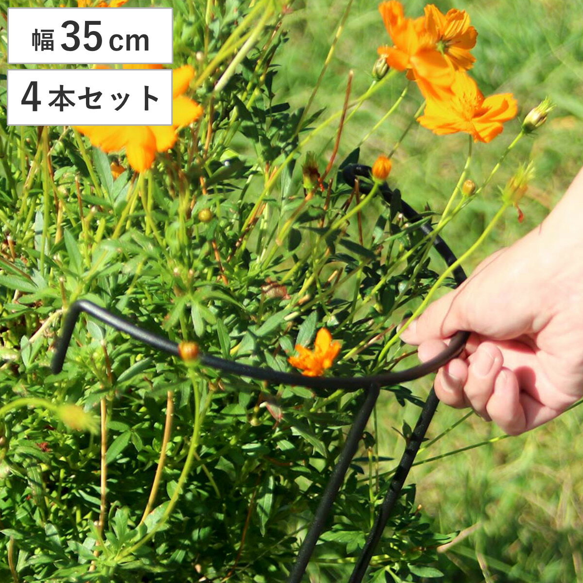 サイズ約 幅36×奥行18×高さ65（cm）重量1本当たり：0.84kg内容量4本セット材質アイアン（粉体塗装）生産国中国製組立状態完成品注意事項※商品ページ内には別の商品を含む画像を使用しています区分返品・キャンセル区分（不可）アイアン製植物サポーター幅35 4本セットおすすめポイント※商品ページ内には別の商品を含む画像を使用しています植物を支えるアイアン製サポーター 幅35cm 4本セット植物をさりげなくおしゃれに整える、アイアン製の植物サポーターは、マット調の6mm黒アイアンを使用し、頑丈でモダンな質感。広がりがちな植物をエレガントに固定します。茂りすぎたシュラブ（低木）や、植栽直後のシンボルツリー、重さのある果樹もしっかり支えます。地面に深く刺すだけで抜群の安定感。軽量で持ち運びもしやすく地植え、鉢植え、どちらにも使えます。商品詳細連結、延長で自由にお庭をデザインするフックで連結したり、延長脚で高さを変えられます。1本で植物を支えたり、2本合わせてサークル状にも。複数連結すれば大サークルも作れます。横に複数連結してフェンスにするのもオススメです。豊富なサイズバリエーション全4サイズあるので、お庭や植物に合わせて自由に組み合わせていただけます。サイズ対応しているパーツ・オプション植物サポーター延長脚 16本セット植物サポーター延長脚 4本セット植物サポーター延長脚 8本セットシリーズ紹介植物サポーター幅35cm 4本セット【▲このページの商品】植物サポーター幅35cm 8本セット植物サポーター幅35cm16本セット関連キーワード：植物サポーター 植物スタンド 支え 庭植物 鉢植え お花を支える 自立 補助 倒れない 観葉植物 グリーン フラワー 枝物 園芸用品 園芸 インテリア雑貨 オーナメント 野草 庭仕事 庭つくり 畑仕事 DIY diy ガーデニング用品 野菜 お花 差し込むだけ 簡単 小型 軽い 軽量 簡単設置 コンパクト フェンス ガーデニング雑貨 アイアンフェンス ベランダ ベランダ菜園 家庭菜園 花壇フェンス ガーデンフェンス 畑 庭 お庭 ガーデニング ガーデングッズ インテリア シンプル オシャレ お洒落 グリーンフェンス オススメ ブラック 黒 LH20708 関連商品はこちらアイアン製植物サポーター幅35 16本セット 14,400円アイアン製植物サポーター幅35 8本セット 7,980円アイアン製植物サポーター幅45 4本セット 5,680円アイアン製植物サポーター幅25 4本セット 3,980円アイアン製植物サポーター幅18 4本セット 3,680円アイアン製植物サポーター幅45 16本セット 16,800円アイアン製植物サポーター幅25 16本セット 11,800円アイアン製植物サポーター幅18 16本セット 10,400円アイアン製植物サポーター幅45 8本セット 9,300円アイアン製植物サポーター幅25 8本セット 6,600円アイアン製植物サポーター幅18 8本セット 5,800円アイアン製植物サポーター延長脚 4本セット 2,500円