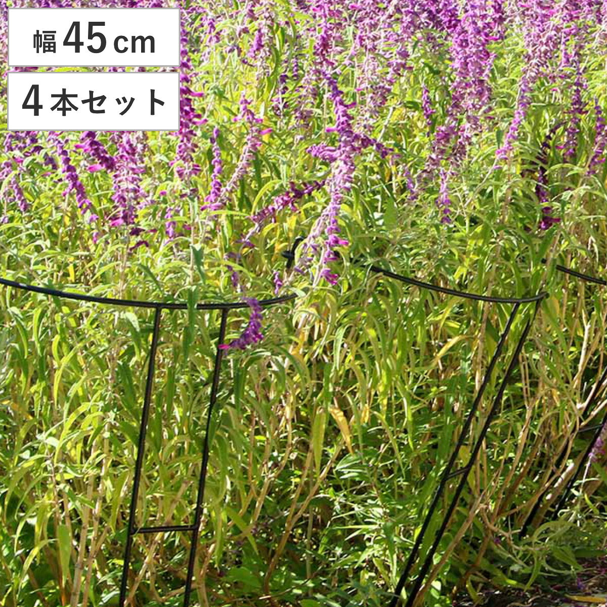 サイズ約 幅45×奥行23×高さ85（cm）重量1本当たり：0.95kg内容量4本セット材質アイアン（粉体塗装）生産国中国製組立状態完成品注意事項※商品ページ内には別の商品を含む画像を使用しています備考※幅45cmのみ脚はジョイント式です区分返品・キャンセル区分（不可）アイアン製植物サポーター幅45 4本セットおすすめポイント※商品ページ内には別の商品を含む画像を使用しています植物を支えるアイアン製サポーター 幅45cm 4本セット植物をさりげなくおしゃれに整える、アイアン製の植物サポーターは、マット調の6mm黒アイアンを使用し、頑丈でモダンな質感。広がりがちな植物をエレガントに固定します。茂りすぎたシュラブ（低木）や、植栽直後のシンボルツリー、重さのある果樹もしっかり支えます。地面に深く刺すだけで抜群の安定感。軽量で持ち運びもしやすく地植え、鉢植え、どちらにも使えます。商品詳細連結、延長で自由にお庭をデザインするフックで連結したり、延長脚で高さを変えられます。1本で植物を支えたり、2本合わせてサークル状にも。複数連結すれば大サークルも作れます。横に複数連結してフェンスにするのもオススメです。豊富なサイズバリエーション全4サイズあるので、お庭や植物に合わせて自由に組み合わせていただけます。サイズ対応しているパーツ・オプション植物サポーター延長脚 16本セット植物サポーター延長脚 4本セット植物サポーター延長脚 8本セットシリーズ紹介植物サポーター幅45cm 16本セット植物サポーター幅45cm 4本セット【▲このページの商品】植物サポーター幅45cm 8本セット関連キーワード：植物サポーター 植物スタンド 支え 庭植物 鉢植え お花を支える 自立 補助 倒れない 観葉植物 グリーン フラワー 枝物 園芸用品 園芸 インテリア雑貨 オーナメント 野草 庭仕事 庭つくり 畑仕事 DIY diy ガーデニング用品 野菜 お花 差し込むだけ 簡単 小型 軽い 軽量 簡単設置 コンパクト フェンス ガーデニング雑貨 アイアンフェンス ベランダ ベランダ菜園 家庭菜園 花壇フェンス ガーデンフェンス 畑 庭 お庭 ガーデニング ガーデングッズ インテリア シンプル オシャレ お洒落 グリーンフェンス オススメ ブラック 黒 LH20708 関連商品はこちらアイアン製植物サポーター幅45 16本セット 16,800円アイアン製植物サポーター幅45 8本セット 9,300円アイアン製植物サポーター幅35 4本セット 4,980円アイアン製植物サポーター幅25 4本セット 3,980円アイアン製植物サポーター幅18 4本セット 3,680円アイアン製植物サポーター幅35 16本セット 14,400円アイアン製植物サポーター幅25 16本セット 11,800円アイアン製植物サポーター幅18 16本セット 10,400円アイアン製植物サポーター幅35 8本セット 7,980円アイアン製植物サポーター幅25 8本セット 6,600円アイアン製植物サポーター幅18 8本セット 5,800円アイアン製植物サポーター延長脚 4本セット 2,500円