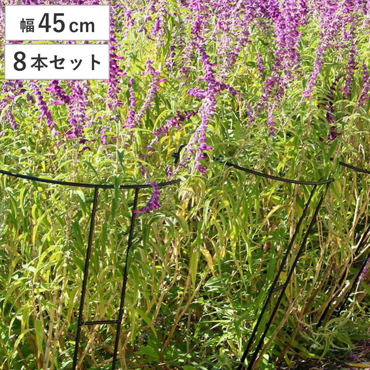 アイアン製植物サポーター幅45 8本セット （ 支柱 フラワースタンド 花壇 花 植物 ...