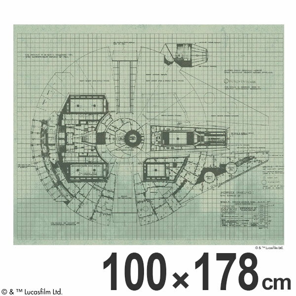 ■在庫限り・入荷なし■スターウォーズ カーテン 遮光 ミレニアムファルコン 100×178cm （ 送料無料 形状記憶 スミノエ ドレープカーテン タッセル STAR WARS 洗える 既成 日本製 MILLENNIUM FALCON ）