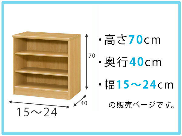 オーダー本棚 標準棚板タイプ 幅15-24cm 奥行40cm 高さ70cm （ 収納棚 書棚 本棚 オーダー ラック 壁面収納 書庫 日本製 オーダーメイド 文庫本 コミック フリーラック ） 2