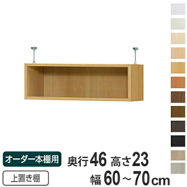 専用 上置き棚 標準棚板 type23 オーダー本棚 奥行46cm 幅60-70cm用 （ 送料無料 オーダーメイド 天井つっぱり 収納ラック 本棚 セミオーダー ）