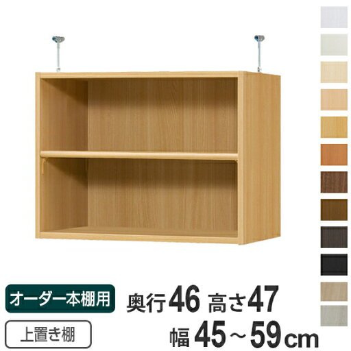専用 上置き棚 標準棚板 type47 オーダー本棚 奥行46cm 幅45-59cm用 ( 送料無料 オーダーメイド 天井つっぱり 収納ラック 本棚 セミオーダー ) 専用 上置き棚 標準棚板 type47 オーダー本棚 奥行46cm 幅45-59cm用 ( 送料無料 オーダーメイド 天井つっぱり 収納ラック 本棚 セミオーダー )
