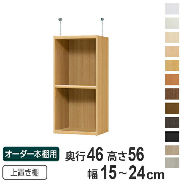 Shelves - 専用 上置き棚 標準棚板 type56 オーダー本棚 奥行46cm 幅15-24cm用 （ 送料無料 オーダーメイド 天井つっぱり 収納ラック 本棚 セミオーダー ）