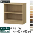 オーダー本棚 タフ棚板タイプ 幅45-59cm 奥行40cm 高さ60cm ( 収納棚 書棚 本棚 オーダー ラック 壁面収納 書庫 日本製 オーダーメイド 文庫本 コミック フリーラック )