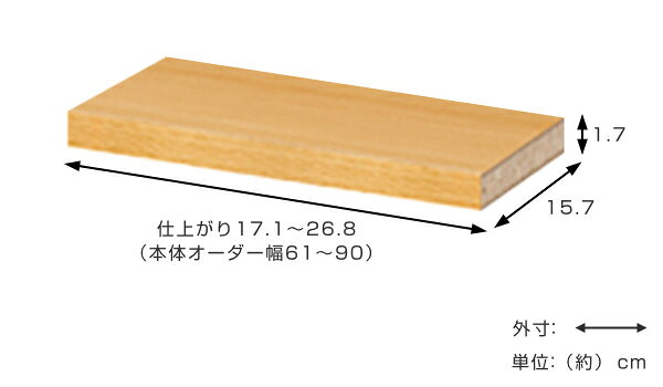 オーダーカウンター下収納専用 追加棚板 スリムタイプ 左棚板 幅61～90cm用 （ オーダー 家具 セミオーダー 収納棚 扉付き 開き戸 本棚 棚 可動棚 リビング収納 キッチン収納 ） livingut-10106246 リビングート 楽天市場店 サンプル画像3