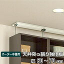 オーダー本棚用 天井突っ張り用強化板 幅60-70cm ( オーダーメイド セミオーダー 本棚 収納棚 )