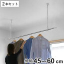 室内物干し 吊下げ型室内物干 長さ45cm〜60cm 伸縮 2本セット ドライ・ウェーブ ( DRY・WAVE 物干し 洗濯 伸長 吊り下げ ポール型 ランドリ...