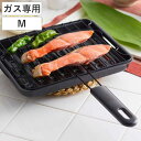 魚焼き網 ガス火専用 セラグリル ホーロー加工 M ( 直火 魚焼きアミ 魚焼き器 焼きアミ 焼きあみ ふっ素加工 フッ素加工 焼き魚 グリル 網 アミ 調理器...