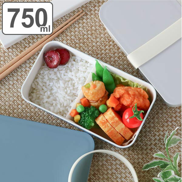 弁当箱 1段 750ml 抗菌 SUKITTO ランチボックス （ お弁当箱 弁当 抗菌加工 レンジ ...