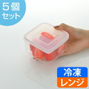 保存容器プルーアルファ460mlプラスチック製5個セット ( プラスチック保存容器 角型 スクエア 冷凍OK 食洗機対応 冷凍保存 食品保存 電子レンジ対応 積み重ね )