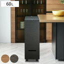 ゴミ箱 60L 2段 バスクグランデペール ( ごみ箱 木目調 60リットル 袋 見えない くず入れ 角型 リビング キッチン 隙間 日本製 ダストボックス 屑...
