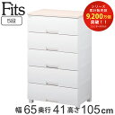 チェスト フィッツプラス 5段 幅65×奥行41×高さ105cm F6505 （ 送料無料 タンス リビング収納 衣類収納 日本製 完成品 プラスチック 引き出し 洋タンス 衣装ケース 収納ケース 背面処理 リビング 収納 ）