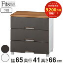 チェスト フィッツプラス メッシュ 3段 幅65×奥行41×高さ66cm FM6503 ( プラスチック 引き出し 日本製 完成品 タンス 収納 衣類収納 Fits フィッツ 衣装ケース 収納ケース 背面処理 リビング収納 洋タンス 木製天板 大容量 )