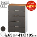 チェスト フィッツプラス メッシュ 5段 幅65×奥行41×高さ105cm FM6505 （ Fits プラスチック 引き出し 日本製 完成品 洋タンス 衣装ケース 収納ケース 衣類収納 リビング 収納 整理たんす 背面処理 ）