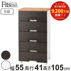 https://thumbnail.image.rakuten.co.jp/@0_mall/livingut/cabinet/maker_tenma9/4904746069986.jpg