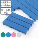 スノコ プラスチック製 29.7×44.4cm エコブロックスノコ ジョイント式 ( 樹脂スノコ すのこ 組立式 ジョイントすのこ ジョイント 組合わせ プラスチック 樹脂製 学校 プール 更衣室 下駄箱 ロッカー 玄関 組立品 )