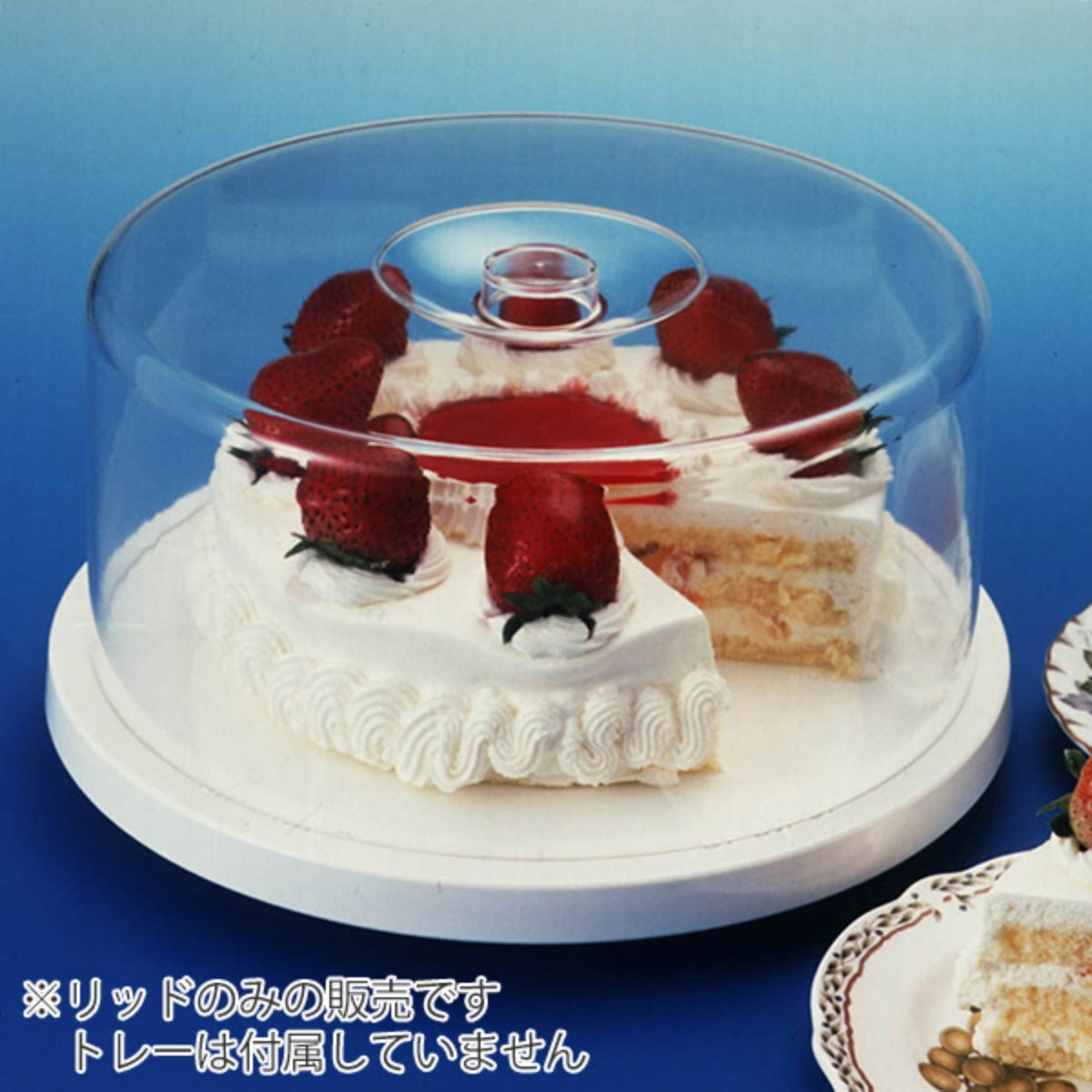 ���������С� 25cm ��å� �����������饦�� �� �ۡ��륱���� ���С� �ե� �� �������ɡ��� ������ ������ ��¸���С� �դ� �ץ饹���å� ���ۻҺ�� ���ۥ��å� ��