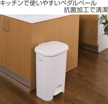 ゴミ箱　ふた付き　ペダルペール　ワイド　38L （ ごみ箱 ダストボックス 分別 キッチン 台所 ペダル 分別ゴミ箱 分別ごみ箱 ）