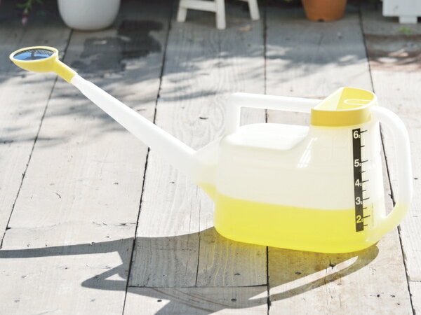 �˥塼�������ۤ��礦�� 6�� �� ǡ��Ϫ ���礦�� ����� ��� �����ǥ˥� ��