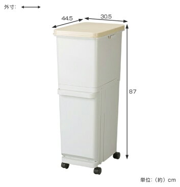 ゴミ箱　ふた付き　セパ　スリム　2段　60L （ ごみ箱 ダストボックス 分別 キッチン 台所 キャスター付 大容量 分別ゴミ箱 分別ごみ箱 ）