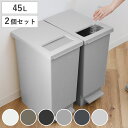 ゴミ箱 45L 同色2個セット ペダル ユニード プッシュ&ペダル ( 45リットル ふた付き 分別キッチン ダストボックス スリム 分別ゴミ箱 棚下 カウンタ...