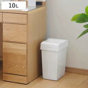 ゴミ箱 10L セパ ダストプッシュ ( ごみ箱 10リットル スイング プッシュ ふた付き コンパクト 角型 分別 省スペース 袋が見えない ダストボックス ...
