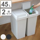 ゴミ箱 45L 同色2個セット ユニード スライドペール ( UNEED ごみ箱 45リットル 同色 2個セット 棚下OK ふた付き スライド式 スリム 分別 ...