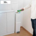 ゴミ箱 36L 2段 ネオカラー分別スリムペダル ( ごみ箱 36リットル 5分別 分別 ペダル式 スリム 縦型 キッチン ふた付き 角型 袋止め付き フック付き 上段 下段 ホワイト 白 シンプル )