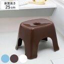 風呂椅子 25cm フロート 風呂イス バスチェア 日本製 ( 風呂いす お風呂 腰かけ フロ椅子 ふろいす 椅子 イス いす シャワーチェア 4本脚 25 銀...