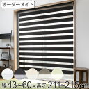 ロールスクリーン オーダー センシア 幅43~60×高さ211~215cm ( 送料無料 スクリーン サイズオーダー オーダーメイド 1cm単位 2重 調光 ブラインドカーテン カーテンレール カーテン 彩光 シンプル ブラインド )