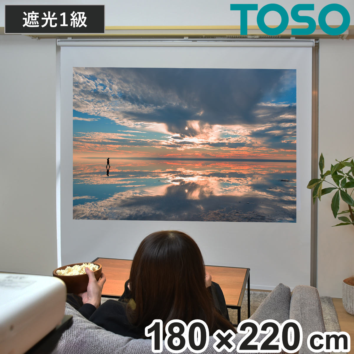 プロジェクタースクリーン 180×220cm 遮光 TOSO （ プロジェクター スクリーン 80インチ ロールスクリーン 遮光1級 ホームシアター 賃貸 大画面 トーソー カーテンレール取付 窓枠 正面付け 天井付け ロール式 カーテンレール ）