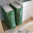 収納袋 布団 ストレージブックス 幅70×奥行50×高さ21cm Lサイズ ( 布団収納 棚上 収納 マルチ収納 クローゼット収納 本型 ブック型 ふとん 衣類...