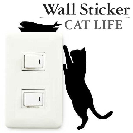 륹ƥå ɻ楷 ǭ ߤ CAT LIFE  ƥꥢ 륷 Wall story 󥻥   ǥ졼󥹥ƥå ǥ졼󥷡 å 