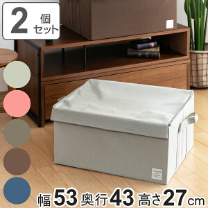 【先着】最大400円OFFクーポン有！ 収納ボックス ストレリアナチュレ LL 幅53×奥行43×高さ27cm 同色2個セット 蓋付き 布 折りたたみ （ 収納ケース 収納 インナーボックス 布製 衣類収納 コンパクト 持ち手付き おしゃれ 保管 大容量 衣類 おもちゃ 冬物衣料 寝具 ）