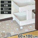 防虫シート 防虫クローゼットシート 60×180cm 消臭 防カビ 抗菌 加工 ( クローゼット用 クローゼットシート 床 防虫シート 押入れ収納 棚敷きシート...