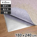 保温シート アルミシート 3畳用 防ダニ加工 180×240cm 床 ( 防寒 断熱シート 3畳 防ダニ 省エネ 保温マット アルミマット 断熱 カーペット 三...
