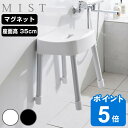 山崎実業 MIST マグネット風呂イス ミスト SH35 ( 4903208017251 ミストシリーズ 風呂いす バスチェア 風呂椅子 座面高35cm バスル...