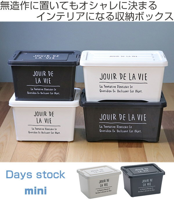 収納ボックス Days Stock Mini （ 小物入れ 収納ケース 収納BOX 衣類 収納 おもちゃ箱 プラスチック おもちゃ 玩具 収納用品 ）