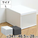 収納ケース ワイド L 幅34×奥行46.5×高さ28cm プラスチック 引き出し 収納 日本製 ( 収納ボックス 衣装 ケース クローゼット収納 ボックス 積み重ね 押入れ収納 キッチン 脱衣所 衣類 スタッキング 小物収納 洋服 リビング収納 )
