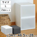 収納ケース ワイド L 幅34×奥行46.5×高さ28cm プラスチック 引き出し 収納 日本製 同色2個セット ( 収納ボックス 衣装 ケース クローゼット ...