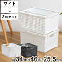 収納バスケット ワイド L プラスチック バスケット 収納 日本製 同色2個セット ( 収納ボックス 幅34 奥行46 ボックス 高さ26 かご カゴ 洗面所 ...