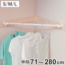物干し 室内 快適室内干し 室内物干し どこでも伸縮ポール S M L 70~280cm ( 部屋 収納 衣類 衣類収納 突っ張り つっぱり 部屋干し 室内物干し 伸縮ポール つっぱり棒 押入れ 鴨居 かもい ハンガー グッズ 室内干し 洗濯物干し )
