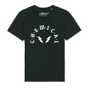 ケミカルブラザース CLASSIC C•M•E•M•I•C•A•L T-SHIRT ロンドン購入