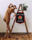 OXFORD PENNANT PORTLAND Camp Flag オックスフォードペナント フラッグ バナー MADE IN USA アメリカ製 旗 タペスト...