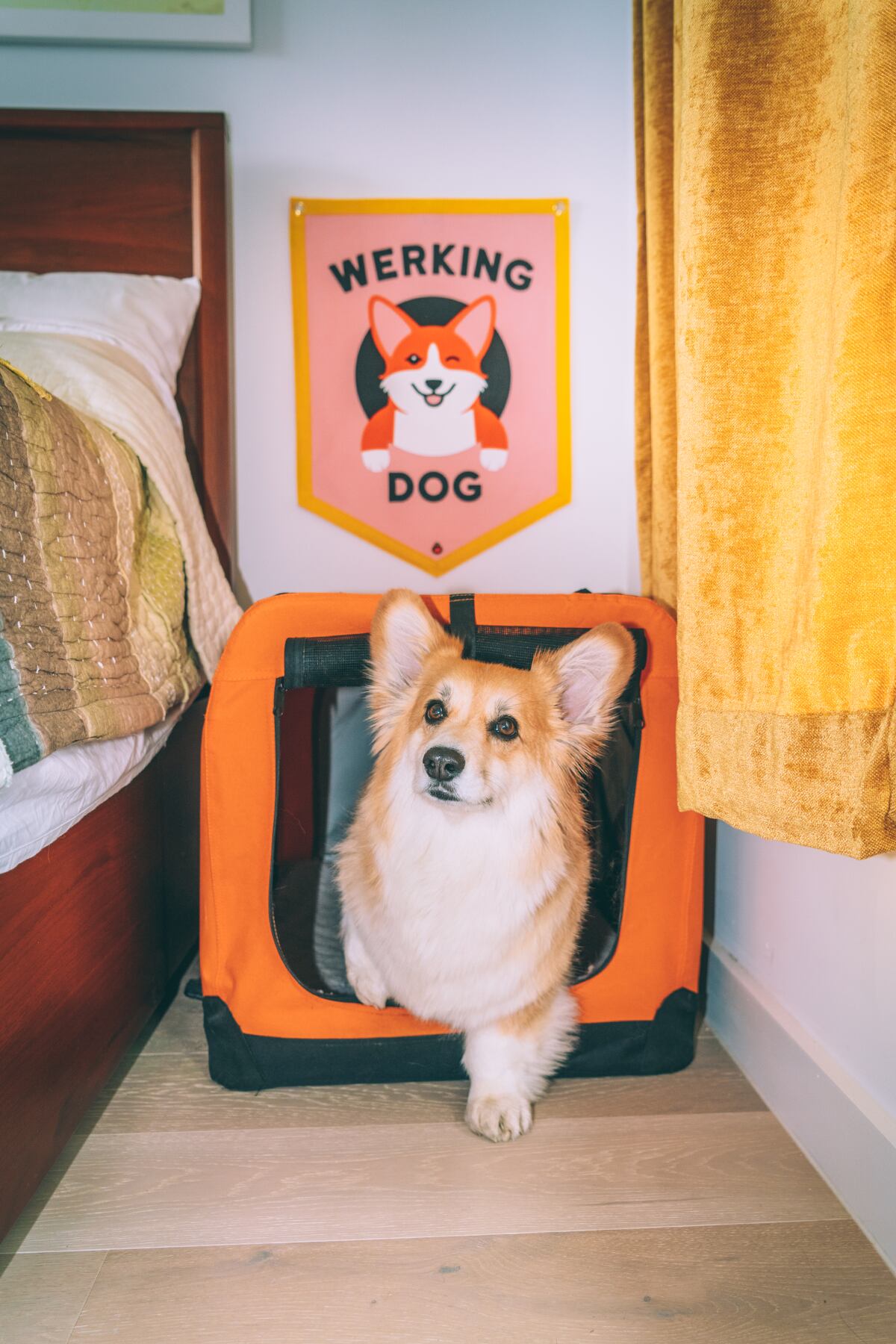 OXFORD PENNANT Maxine x Oxford Pennant "WERKING DOG" Camp Flag オックスフォードペナント フラッグ バナー MADE IN USA アメリカ製 旗 タペストリー 犬 ペット コーギー